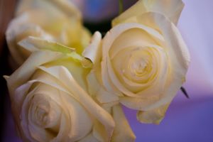 R_E_0068.jpg